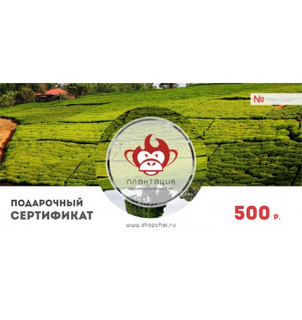 Подарочный сертификат на 500 руб.